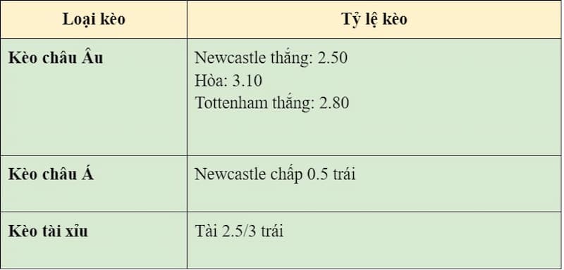 Soi kèo trận đấu Newcastle vs Tottenham